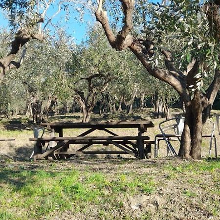 Agriturismo Cele Celle Ligure Buitenkant foto