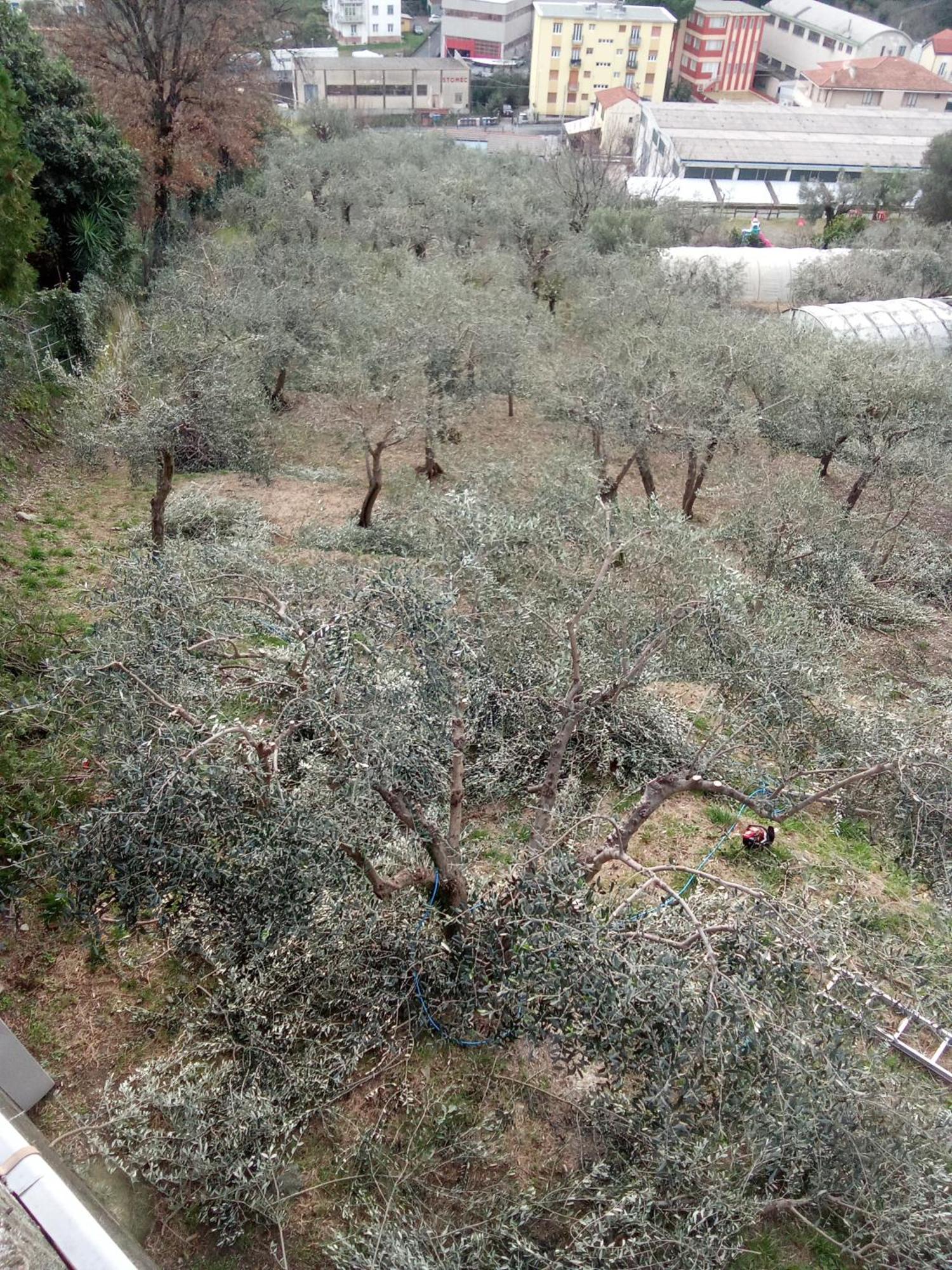 Agriturismo Cele Celle Ligure Buitenkant foto