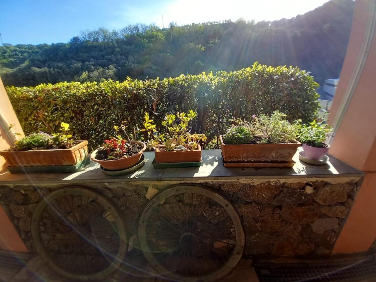 Agriturismo Cele Celle Ligure Buitenkant foto