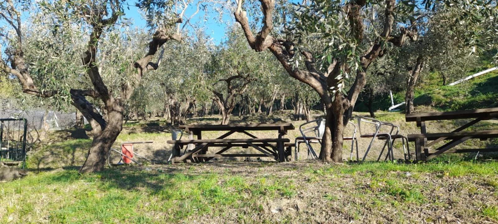 Agriturismo Cele Celle Ligure Buitenkant foto