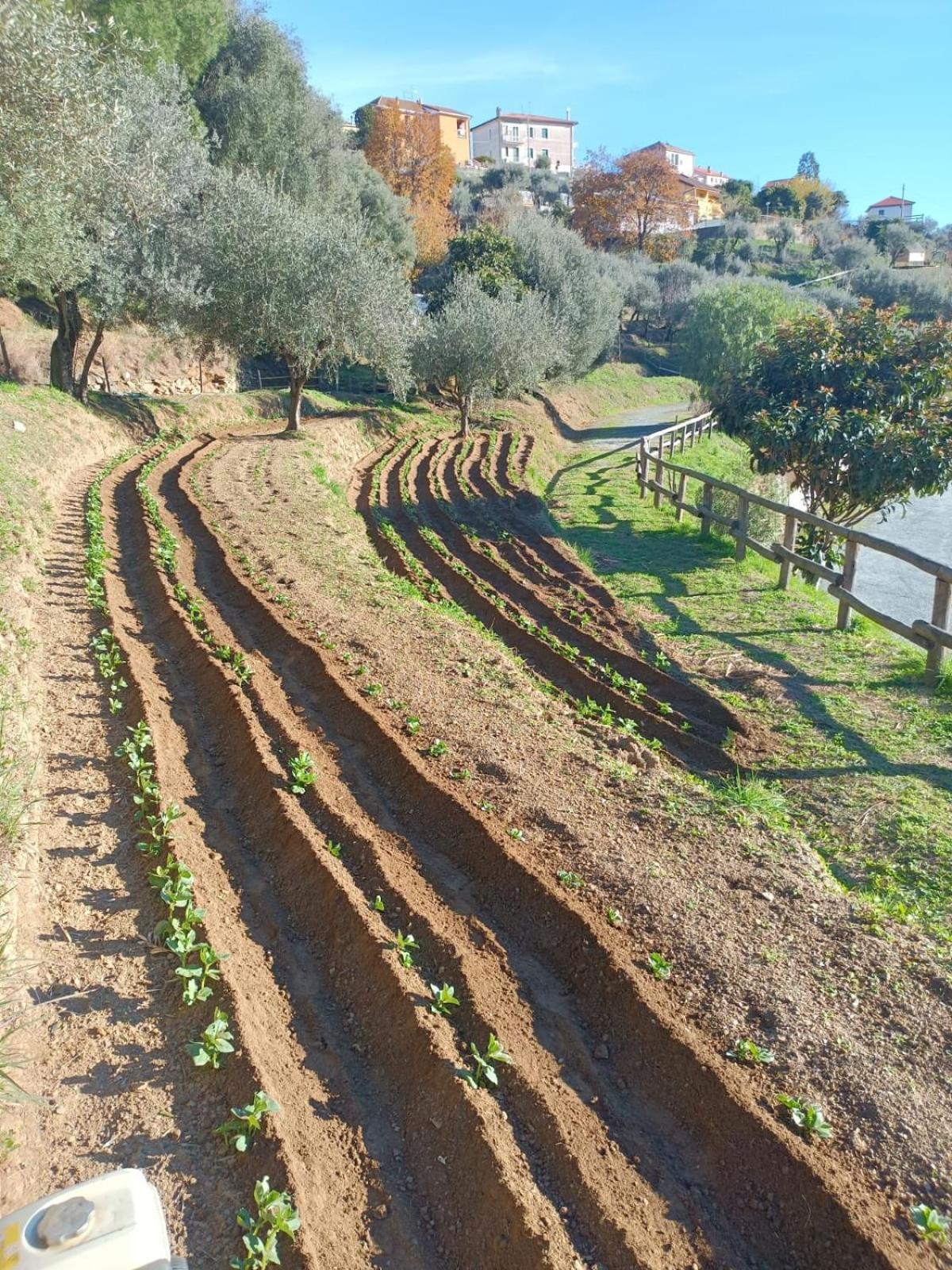 Agriturismo Cele Celle Ligure Buitenkant foto